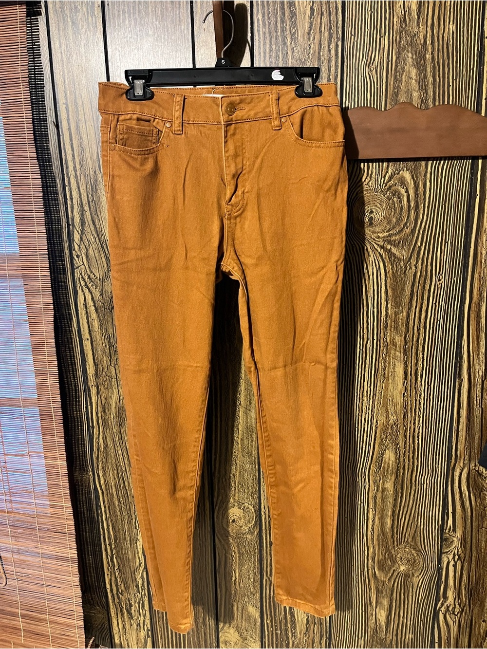 d. jeans Women's Skinny Pants in Rust